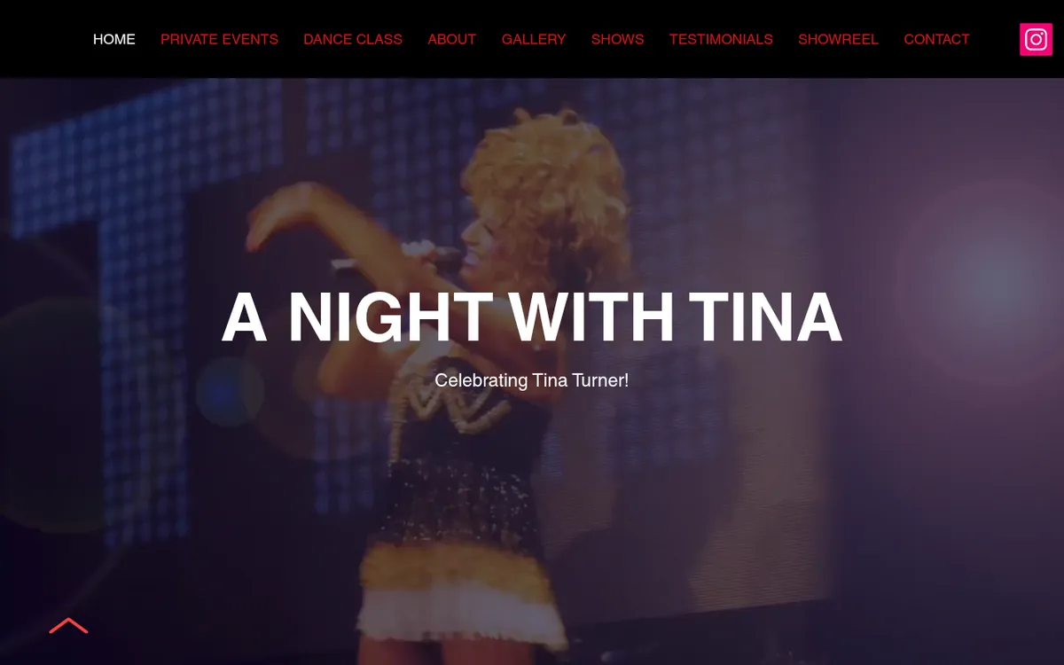 A Night With Tina website homepage